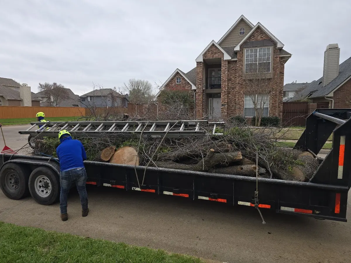 Expert Tree Removal with proper safety equipment in Bonnots Mill